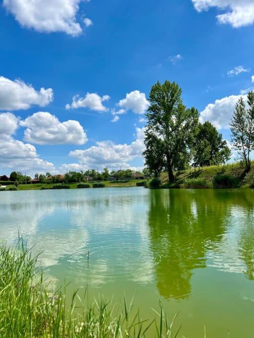 Villa Dom Pri Jazere 23 Minut Od Bratislavy Olgya Exterior foto